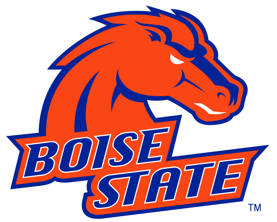 Boise State Broncos 2002-2012 Alternate Logo v4 DIY iron on transfer (heat transfer)